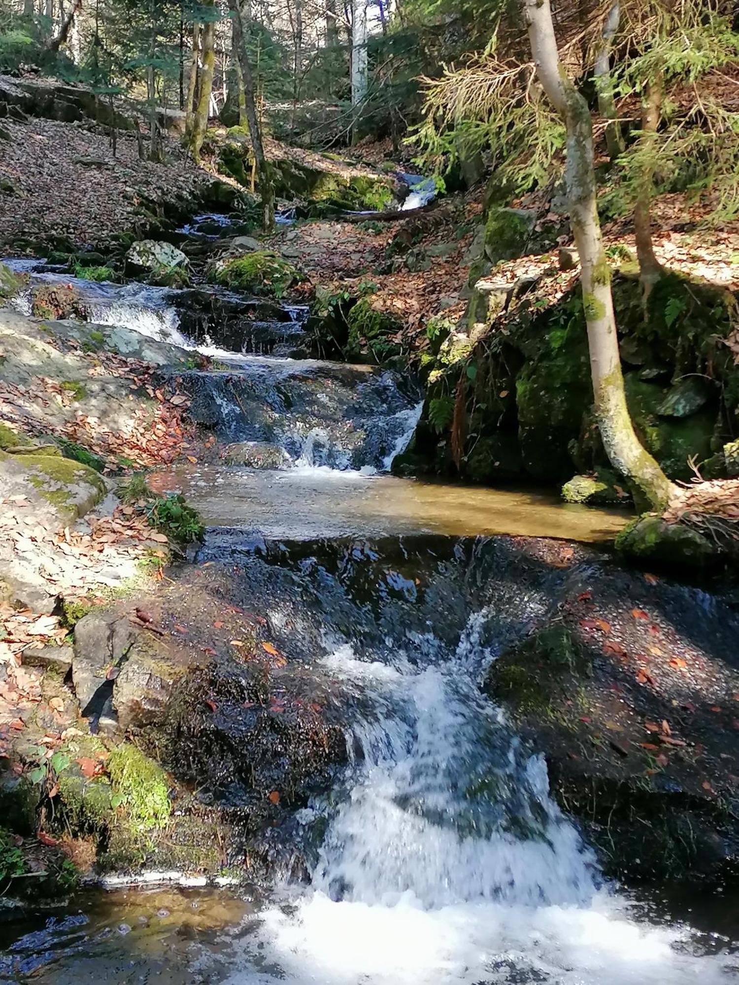 La Fortance Paradis Naturel - Proche De La Ville Planfoy Exterior foto